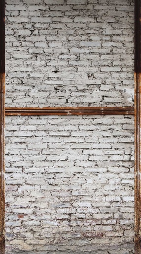 [TAPEDB607] Behang EBD607 Murals II 2025 Digitaaldruk 2,80 mtr x 1,59 mtr