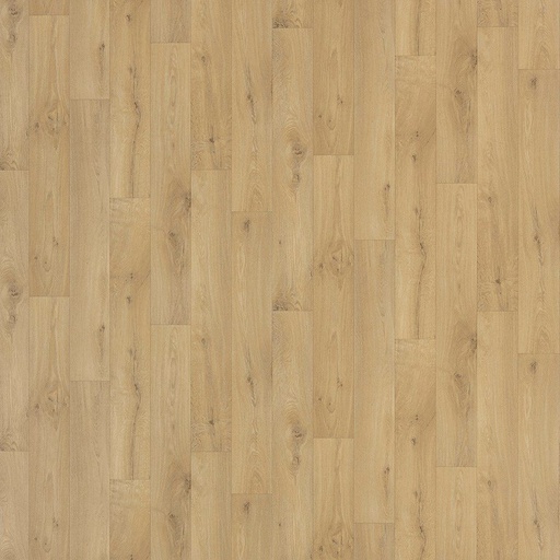 [CVNOVA04_180] CV Traffic 028 NOVA 400cm Kleur 180