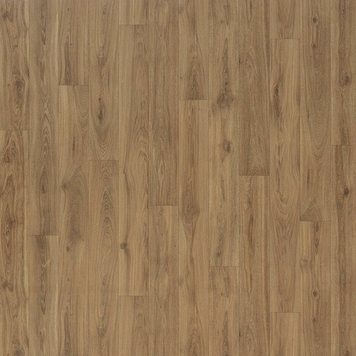 [CVRAGUSA05_5445] CV Wood & Stone 028 RAGUSA 500cm Kleur 5445