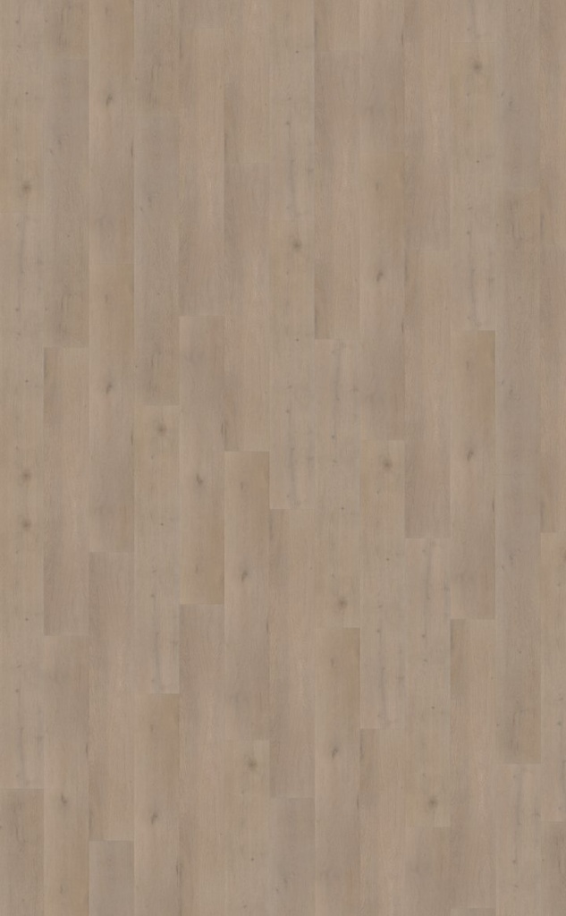 Attico 830