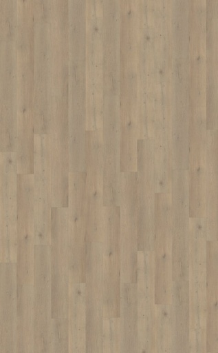 [215786020852] Attico 860 | Rigid Click
