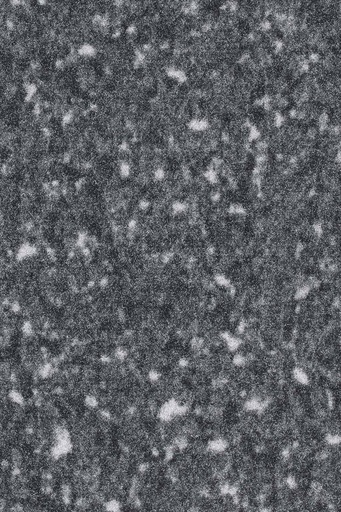 [TEPPOLARPL_545] Format Modul Object 028 Tapijt POLAR Plank 25 x 100 cm Kleur 545 | Pak à 4m²