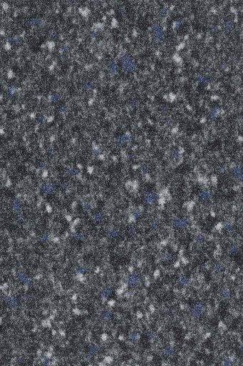 [TEPPOLARPL_553] Format Modul Object 028 Tapijt POLAR Plank 25 x 100 cm Kleur 553 | Pak à 4m²