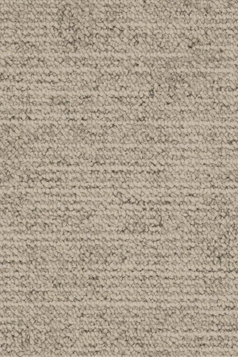 [TEPSILASFL_145] Format Modul Object 028 Tapijt SILAS Tegel 50 x 50 cm Kleur 145 | Pak à 5m²
