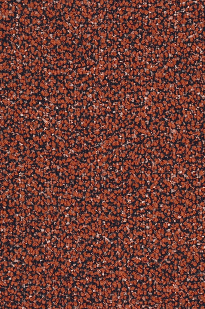 Format Object 028 Tapijt LISARO 400 cm Kleur 138