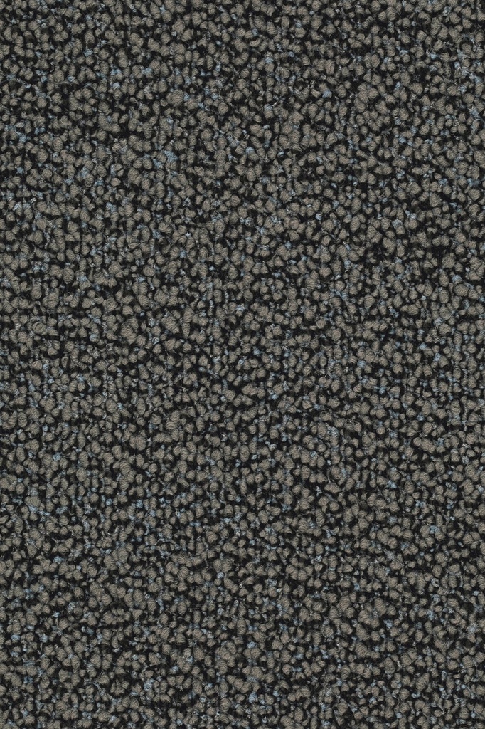 Format Object 028 Tapijt LISARO 400 cm Kleur 501