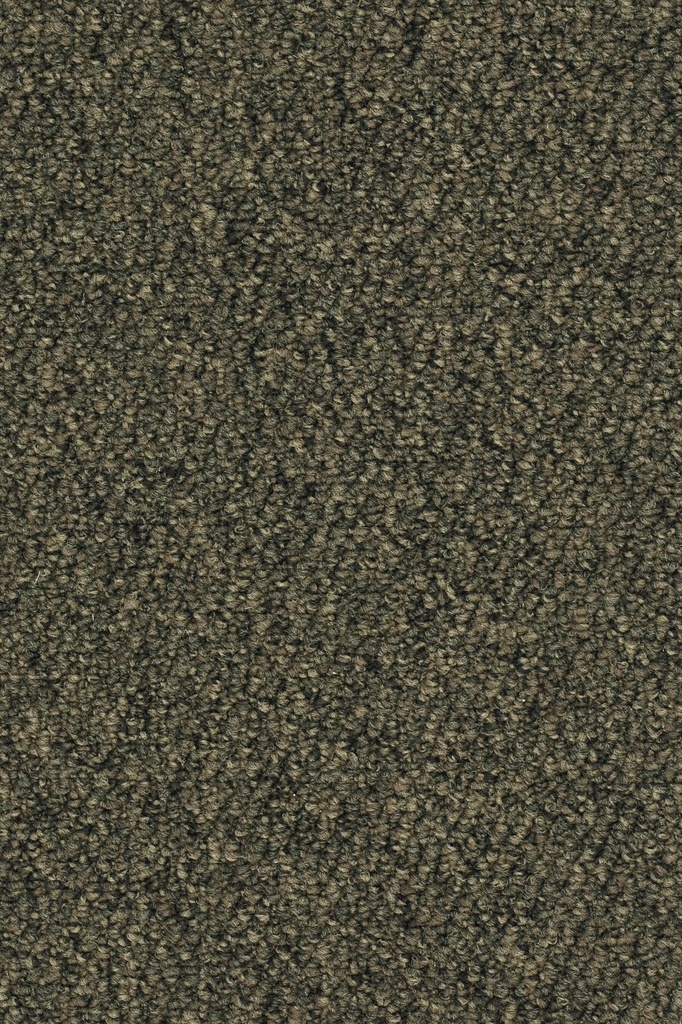 Format Object 028 Tapijt OMEGA 400 cm Kleur 403