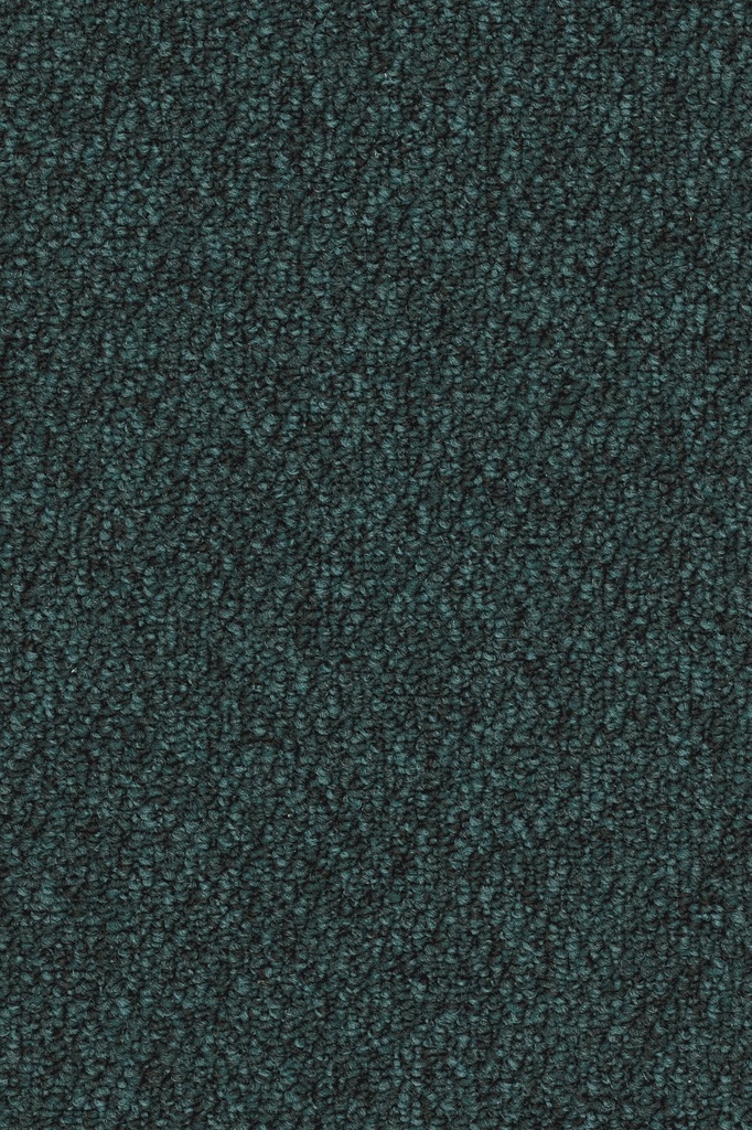 Format Object 028 Tapijt OMEGA 400 cm Kleur 406