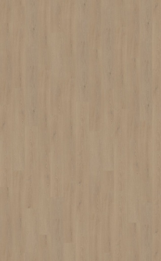 [216221036251] Cervo 210