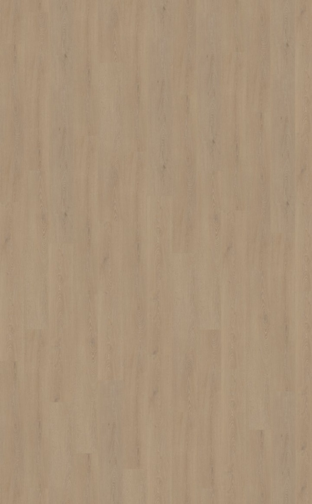 Cervo 210 | Rigid Click