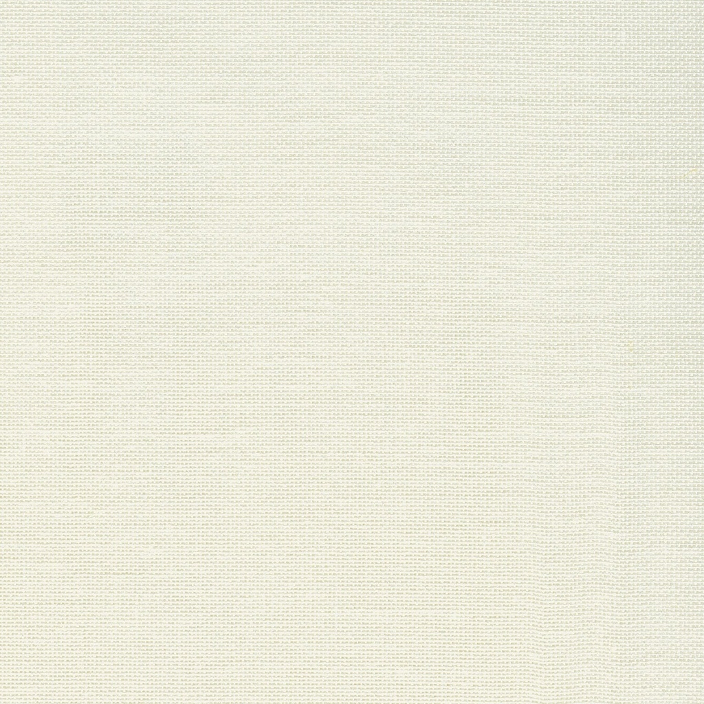 Gordijnstof Pepe offwhite 320 A 40 x 20 | 623316 kleur 000