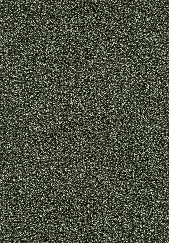 Homeline 26 Tapijt Astoria 400cm Kleur 24