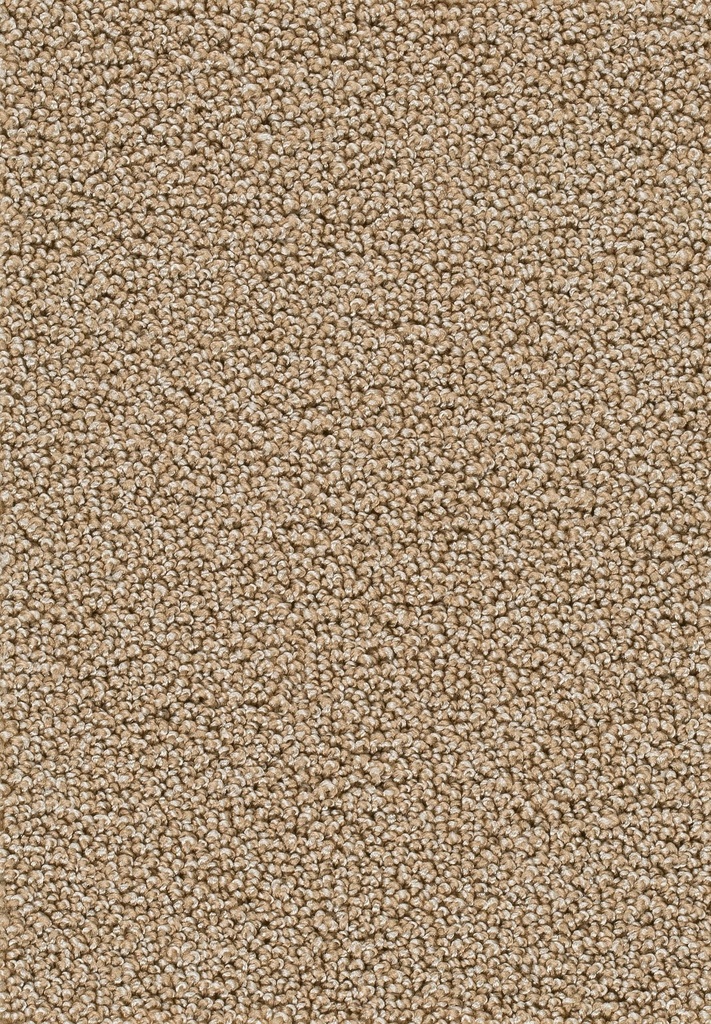 Homeline 26 Tapijt Astoria 400cm Kleur 34