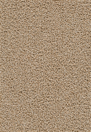 [TEPASTO04_034] Homeline 26 Tapijt Astoria 400cm Kleur 34