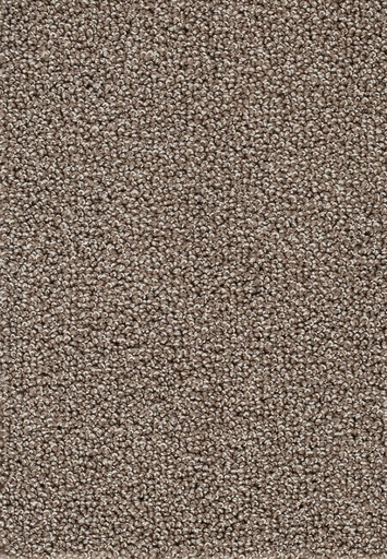 [TEPASTO04_049] Homeline 26 Tapijt Astoria 400cm Kleur 49