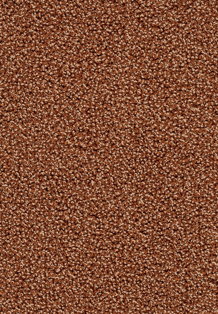 Homeline 26 Tapijt Astoria 400cm Kleur 85