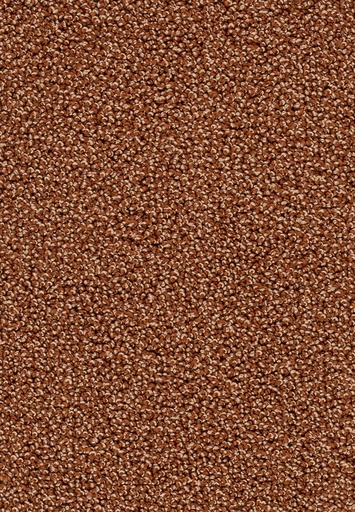 [TEPASTO04_085] Homeline 26 Tapijt Astoria 400cm Kleur 85