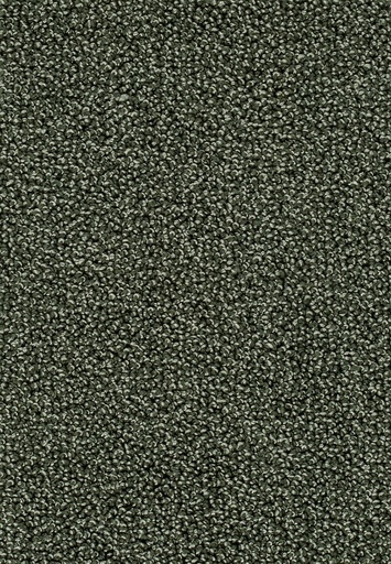 [TEPASTO05_024] Homeline 26 Tapijt Astoria 500cm Kleur 24