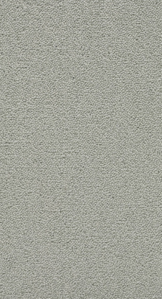 Homeline 26 Tapijt Belle 400 cm Kleur 474
