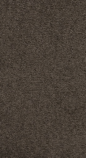 [TEPBELLE04_097] Homeline 26 Tapijt Belle 400 cm Kleur 97