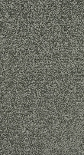 [TEPBELLE05_476] Homeline 26 Tapijt Belle 500 cm Kleur 476