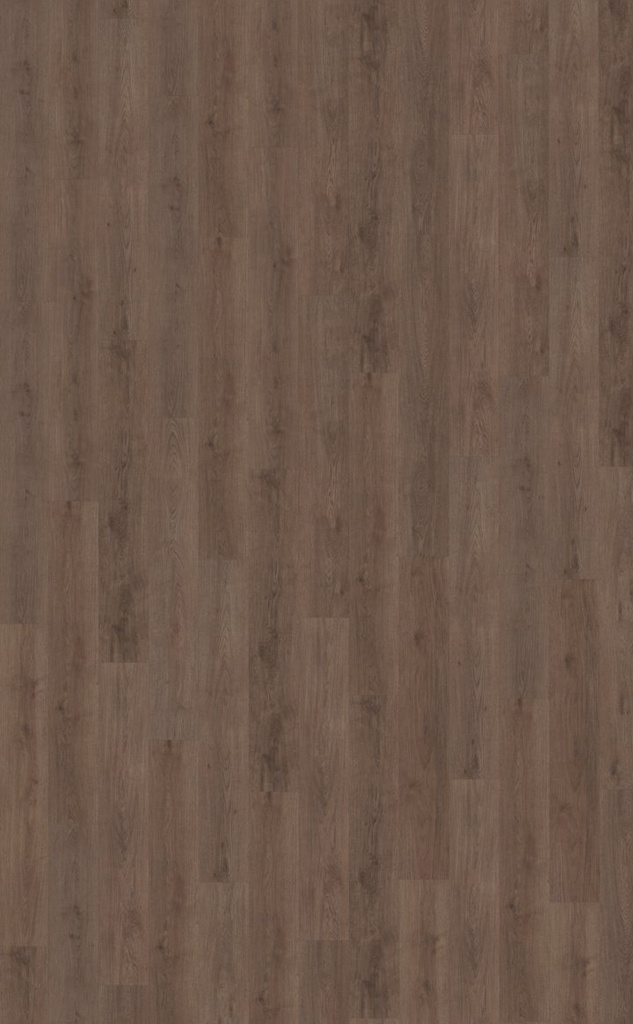 Monastro 900 | Rigid Click