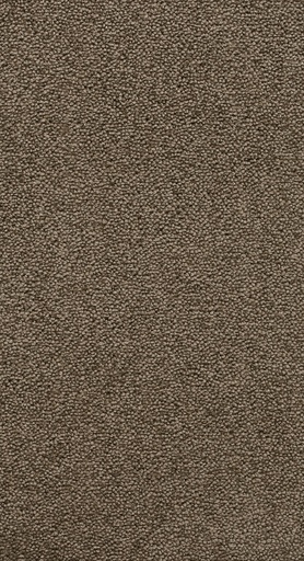 [TEPBELLE05_492] Homeline 26 Tapijt Belle 500 cm Kleur 492