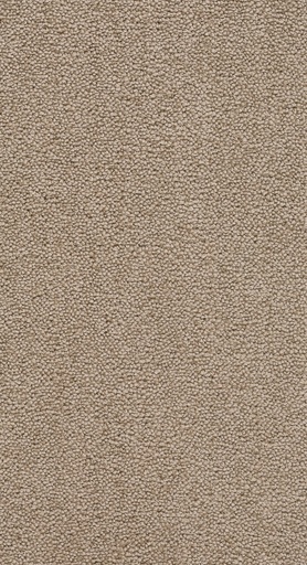 [TEPBELLE05_072] Homeline 26 Tapijt Belle 500 cm Kleur 72