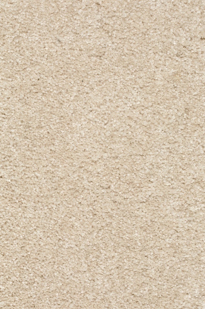 Homeline 26 Tapijt Brasil 400 cm Kleur 04