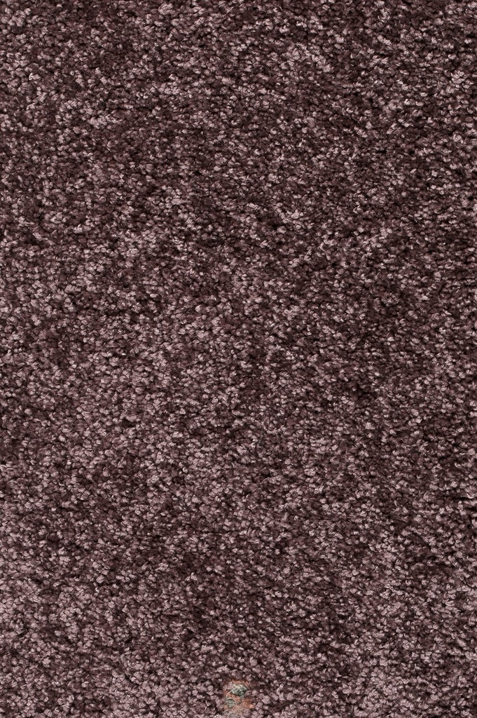 Homeline 26 Tapijt Brasil 400 cm Kleur 41