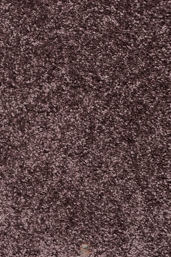 [TEPBRASI04_041] Homeline 26 Tapijt Brasil 400 cm Kleur 41