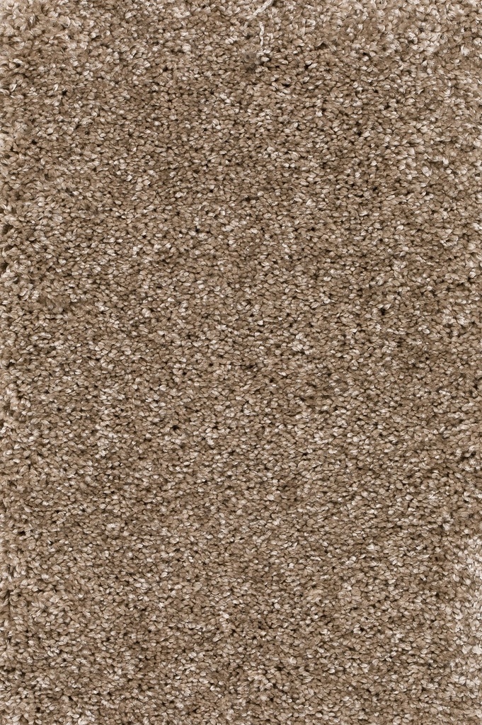 Homeline 26 Tapijt Brasil 500 cm Kleur 35