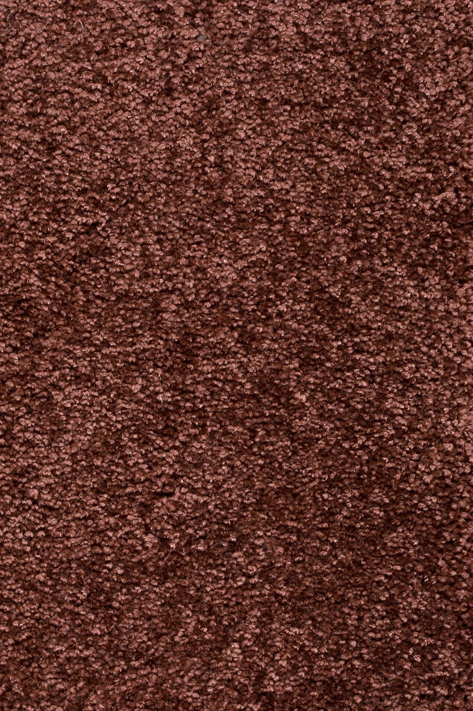 Homeline 26 Tapijt Brasil 500 cm Kleur 81