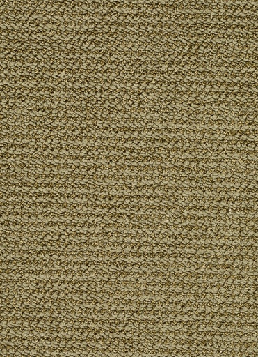 [TEPCRED4_021] Homeline 26 Tapijt Credo 400cm Kleur 21