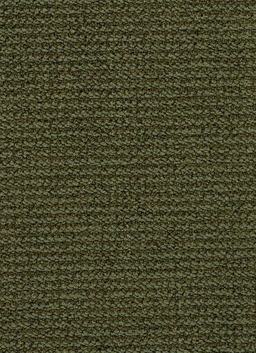 [TEPCRED5_029] Homeline 26 Tapijt Credo 500cm Kleur 29
