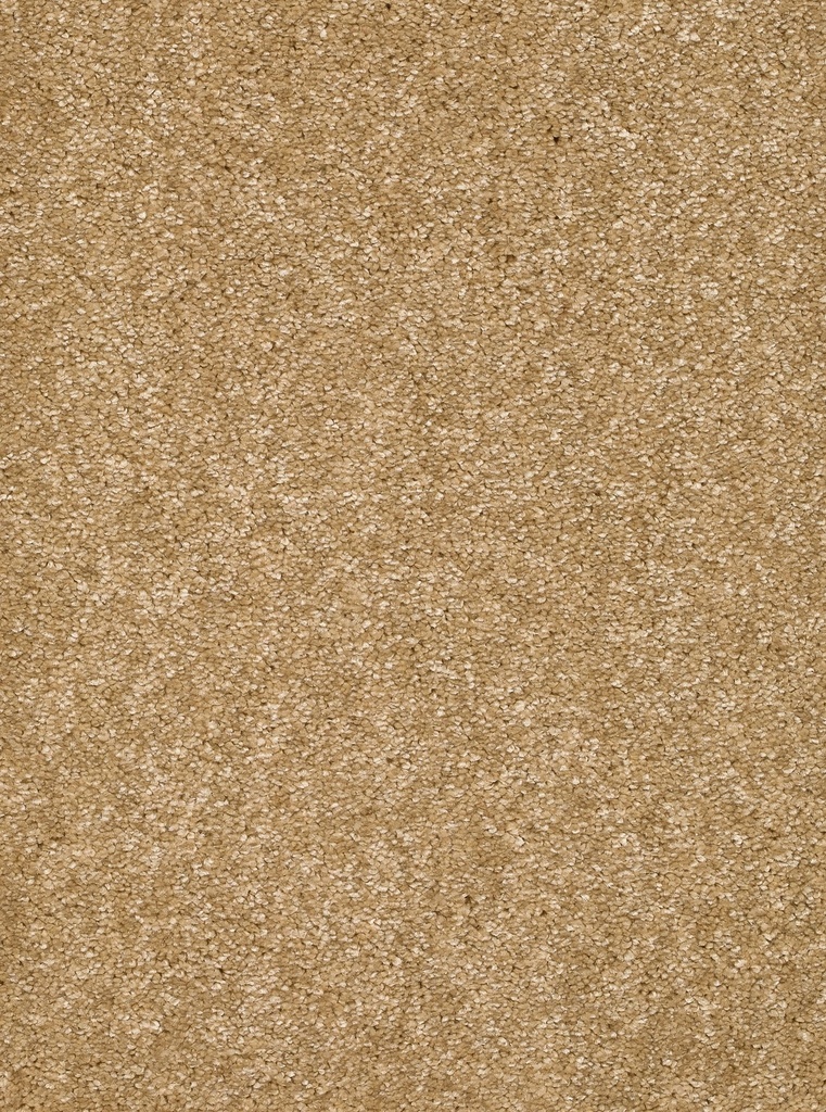 Homeline 26 Tapijt Kairo 500cm Kleur 51