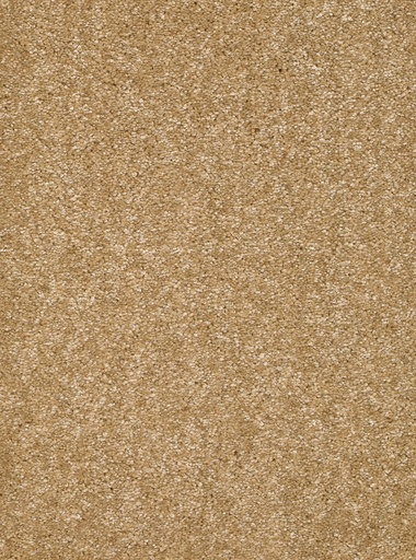 [TEPKAIR5_051] Homeline 26 Tapijt Kairo 500cm Kleur 51
