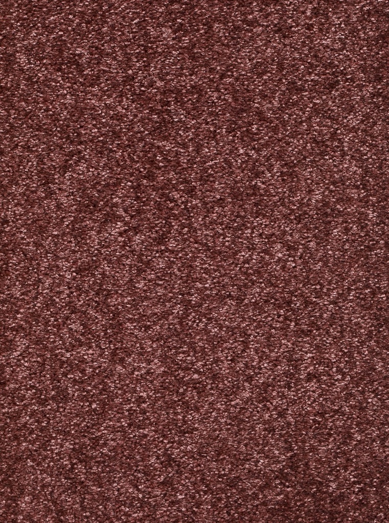Homeline 26 Tapijt Kairo 500cm Kleur 65