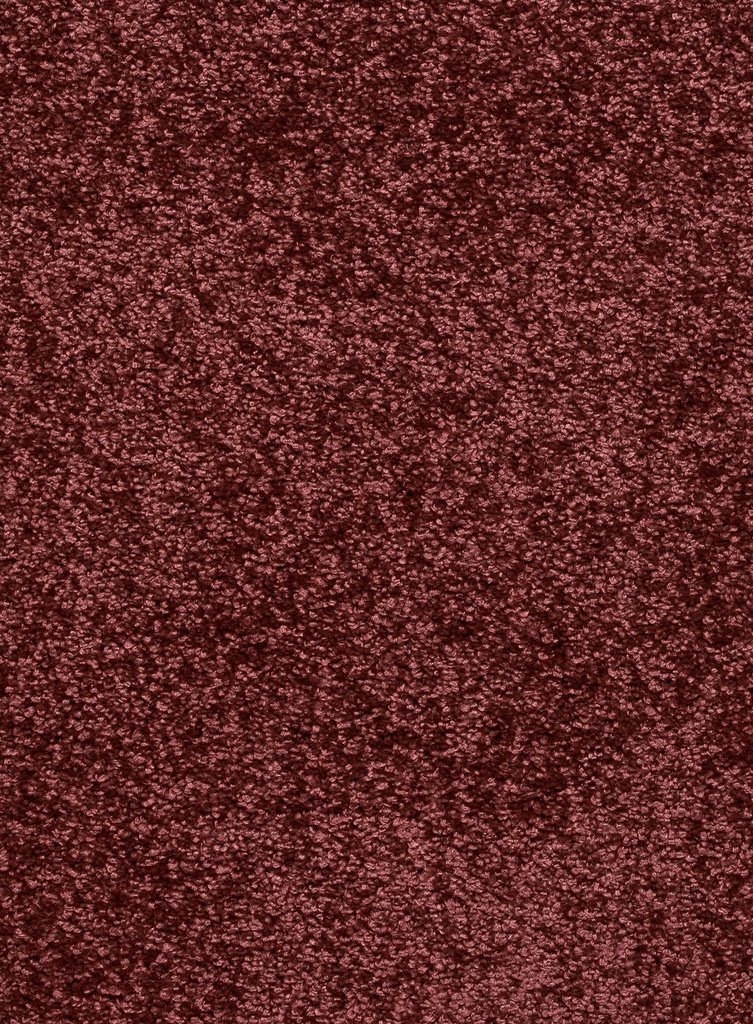 Homeline 26 Tapijt Laredo 400 cm Kleur 18