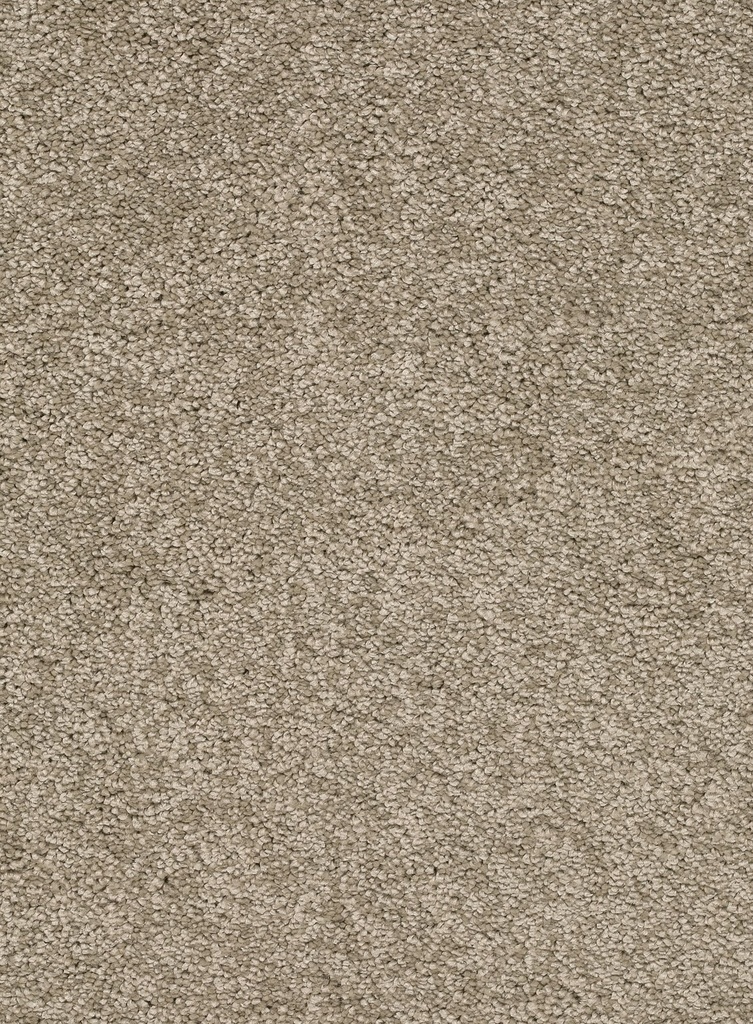 Homeline 26 Tapijt Laredo 400 cm Kleur 32