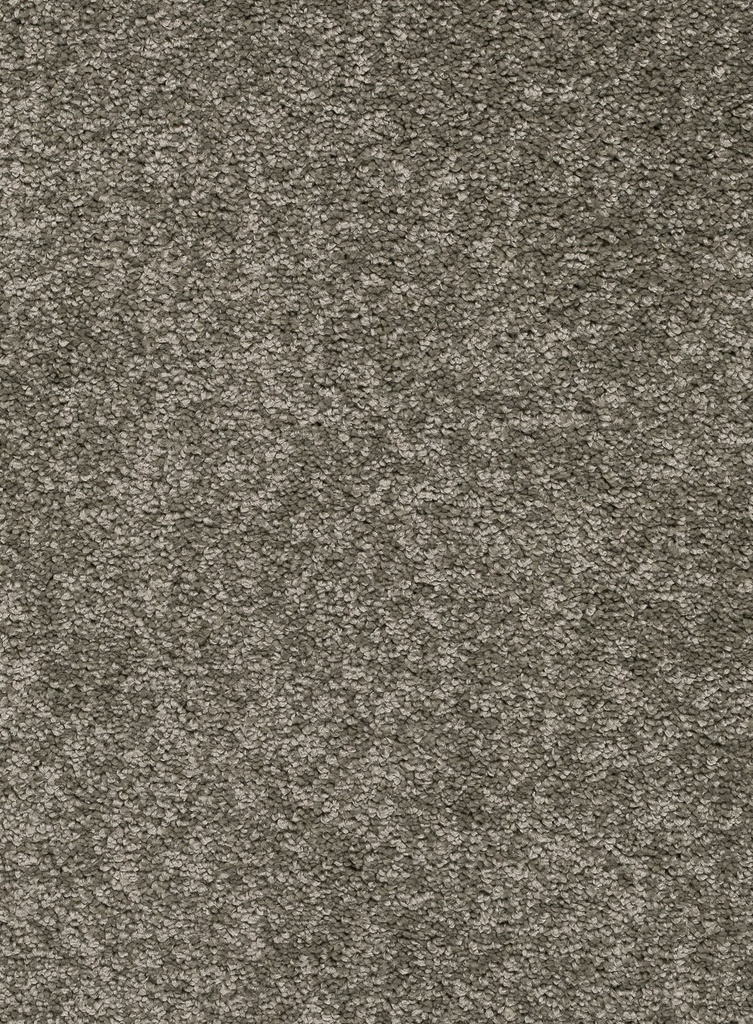 Homeline 26 Tapijt Laredo 500 cm Kleur 29
