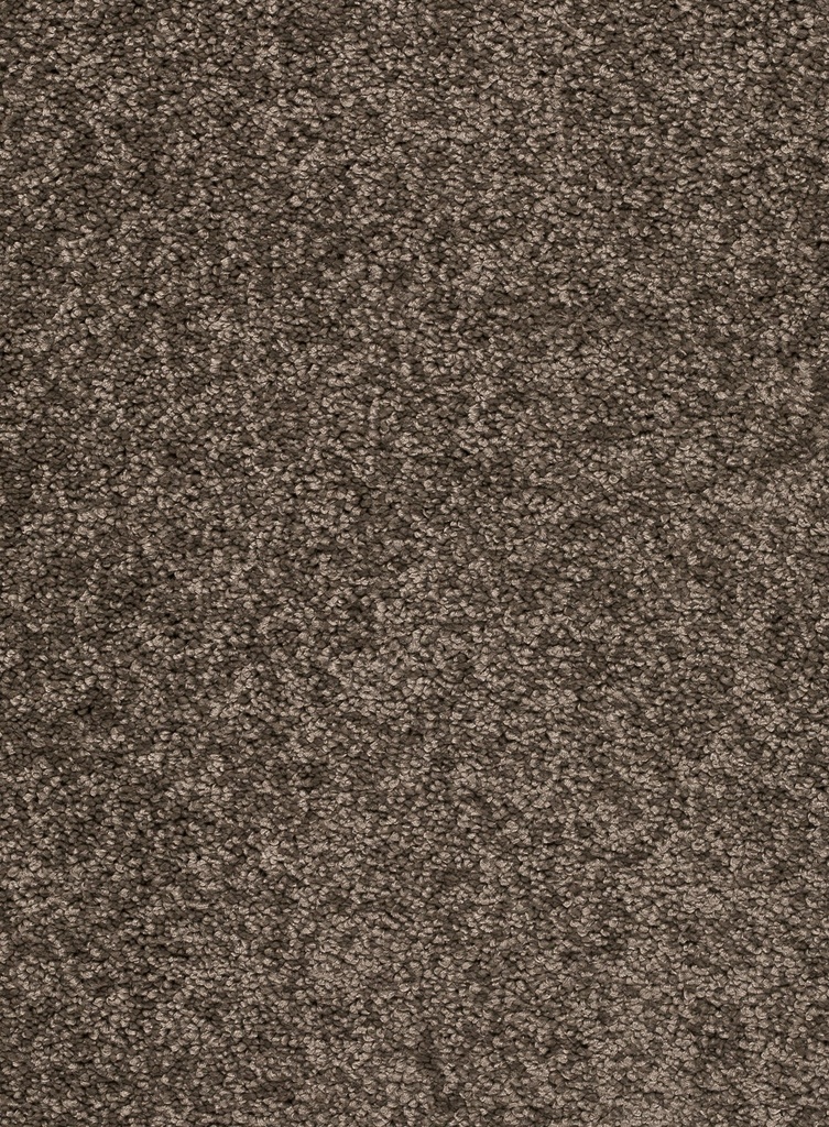 Homeline 26 Tapijt Laredo 500 cm Kleur 44