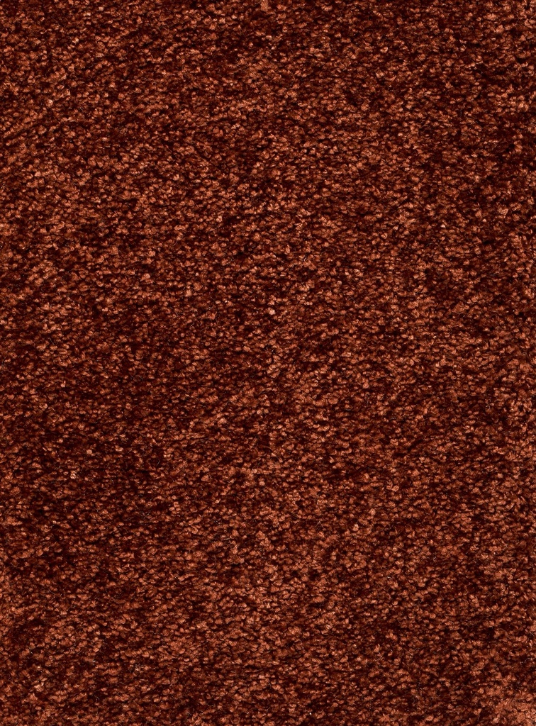 Homeline 26 Tapijt Luxor 400cm Kleur 068