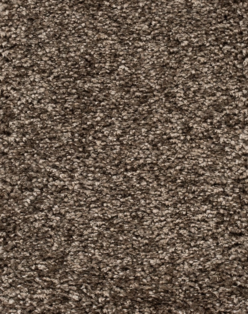 Homeline 26 Tapijt Luxor 400cm Kleur 141