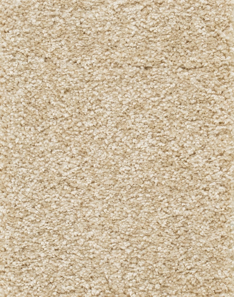 Homeline 26 Tapijt Luxor 500cm Kleur 033