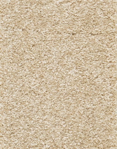 [TEPLUXO05_033] Homeline 26 Tapijt Luxor 500cm Kleur 033