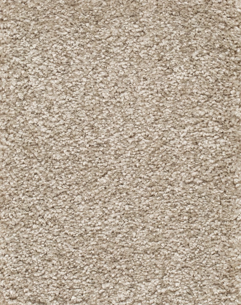 Homeline 26 Tapijt Luxor 500cm Kleur 034