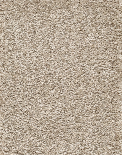 [TEPLUXO05_034] Homeline 26 Tapijt Luxor 500cm Kleur 034