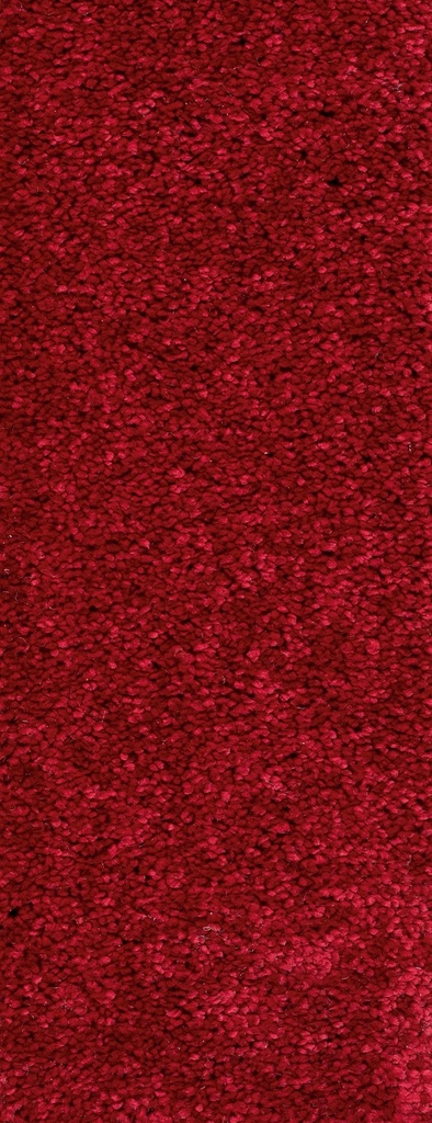 Homeline 26 Tapijt Panama 400 cm Kleur 20 N.M.L.