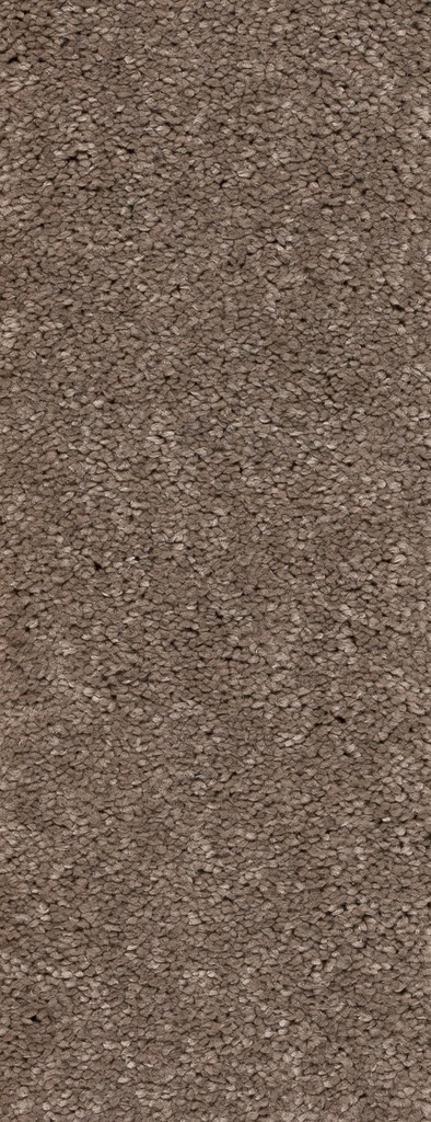 Homeline 26 Tapijt Panama 400 cm Kleur 274